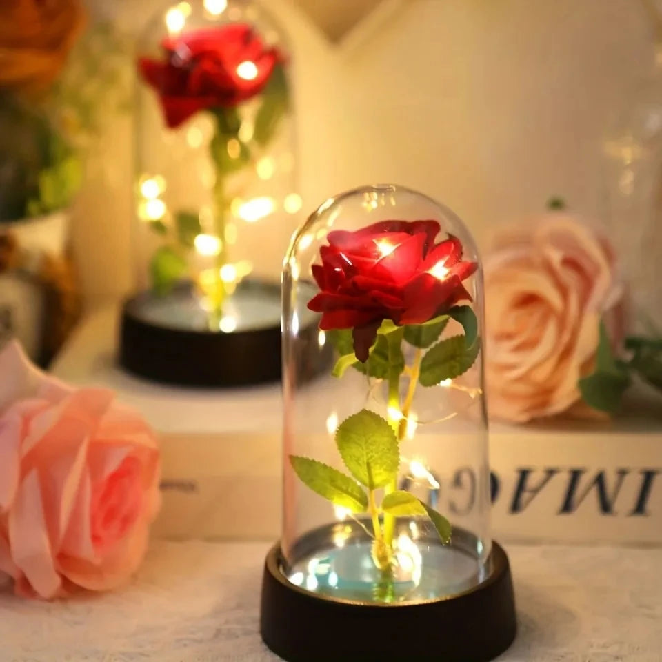 ROSE ÉTERNELLE ÉCLAIRÉE